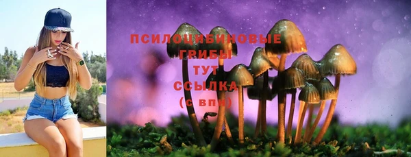твердый Бугульма