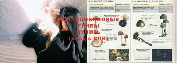 твердый Бугульма