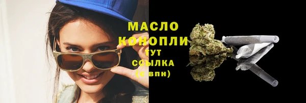 молекула духа Верхний Тагил